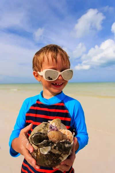 Маленький хлопчик тримає черепашки на літньому тропічному пляжі — стокове фото