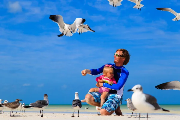 Padre y pequeña hija alimentando gaviotas en la playa — Foto de Stock