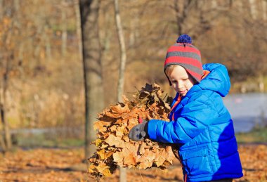 küçük çocuk yaprakları ile oynamak