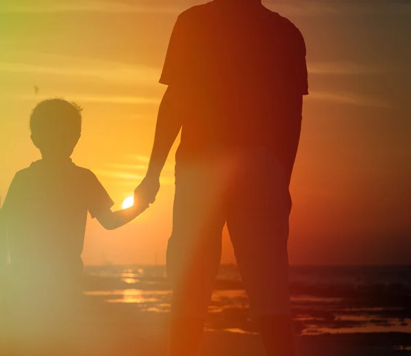 Otec a syn drží za ruce při západu slunce — Stock fotografie