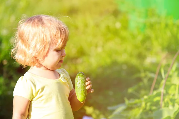 어린 소녀는 정원에서 오이 먹는 — 스톡 사진