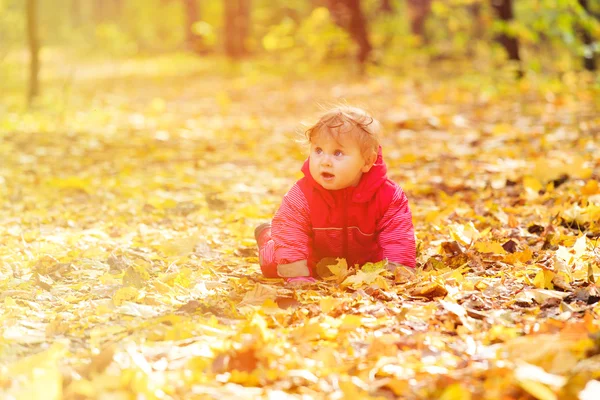 Happy cute little girl in autumn leaves — Stock Photo, Image