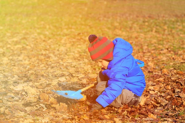 Маленький мальчик копает в осеннем парке — стоковое фото