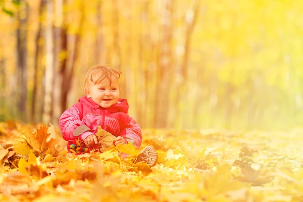 Happy cute little girl in autumn leaves — Stock Photo, Image