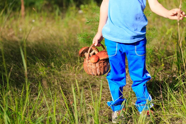 Kleine jongen paddestoelen plukken in groen bos — Stockfoto