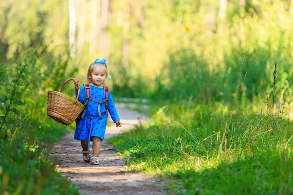 귀여운 소녀 여름 숲에서 버섯을 따기 — 스톡 사진