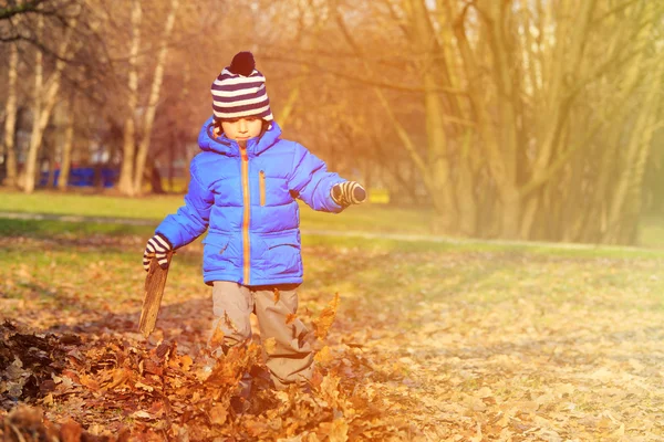 Happy little boy fun in autumn fall leaves — Stock Photo, Image
