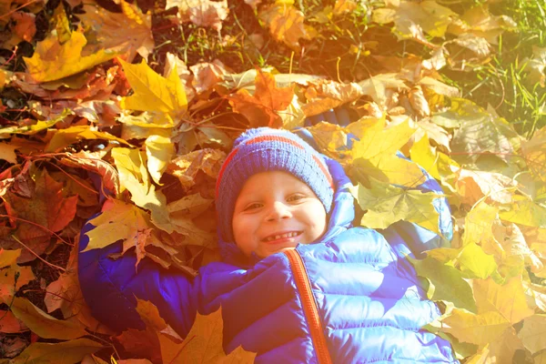 Happy little boy fun in autumn fall — Stock Photo, Image