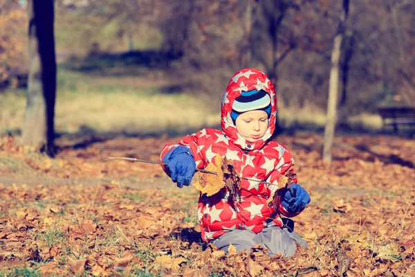 Anak kecil bermain dengan daun musim gugur — Stok Foto