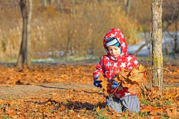 Anak kecil bermain dengan daun musim gugur — Stok Foto
