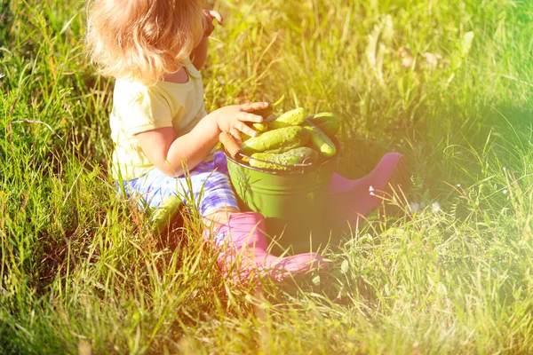 Meisje oogsten komkommers in tuin — Stockfoto