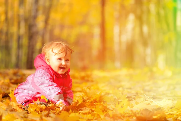 Cute little girl in autumn leaves — Stock Photo, Image