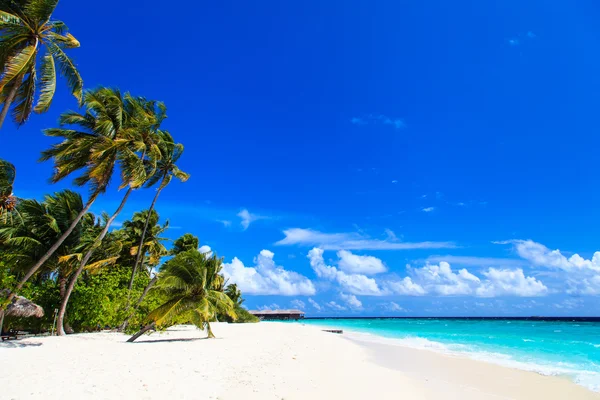 Tropical beach — Stock Photo, Image