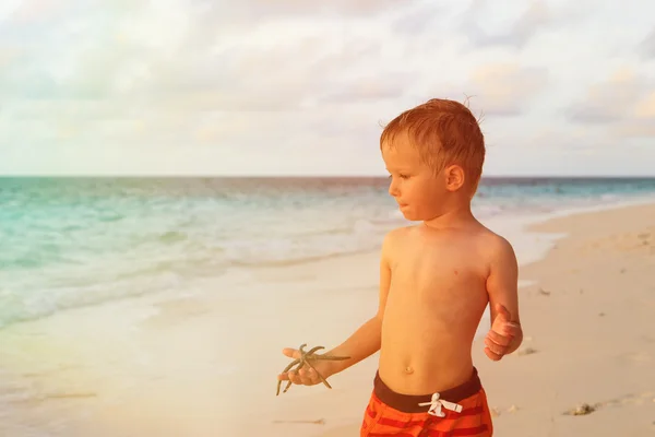 Anak kecil memegang bintang laut di pantai matahari terbenam — Stok Foto