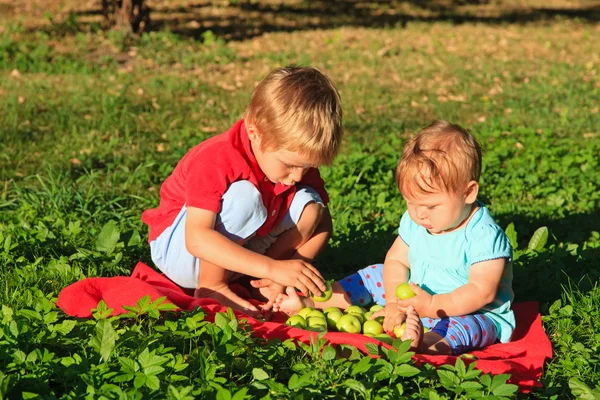 Anak-anak menyortir apel di taman musim panas — Stok Foto