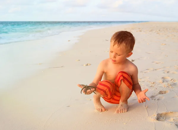 Mały chłopiec trzyma rozgwiazda na zachód słońca plaża — Zdjęcie stockowe