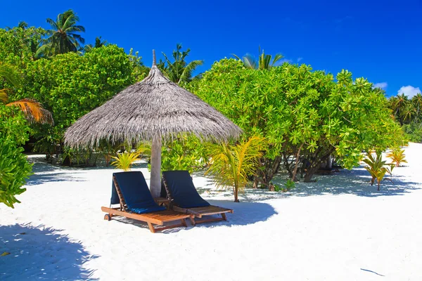 Beach chairs on tropical beach — Stock Photo, Image