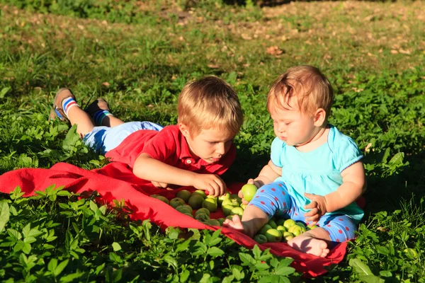 Kakak dan adik memilah apel di musim gugur — Stok Foto