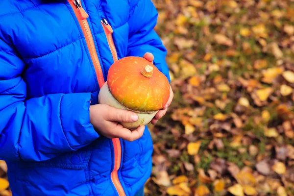 Mano sosteniendo la calabaza en hojas de otoño — Foto de Stock