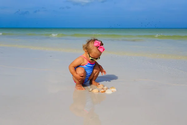 Carino bambina giocare con conchiglie sulla spiaggia — Foto Stock