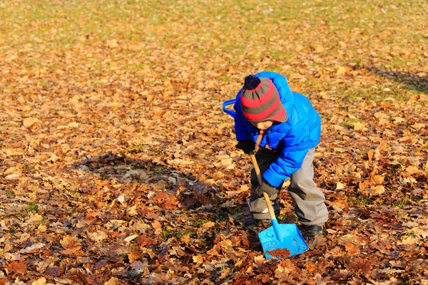 Little boy digging in autumn fall park — Stock Photo, Image