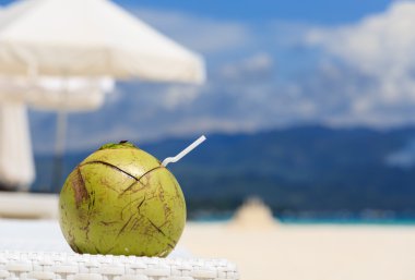 Hindistan cevizi içki tropikal plaj