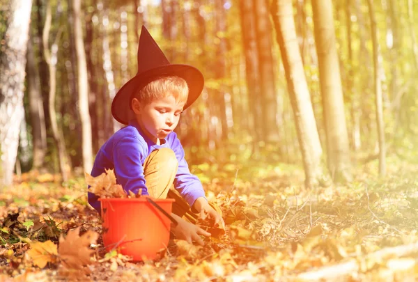 Anak kecil dengan kostum halloween di taman musim gugur — Stok Foto