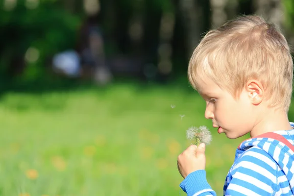 Boy meniup dandelion pada hari musim panas — Stok Foto