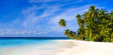 palmiye ağaçları ile tropikal kum plaj