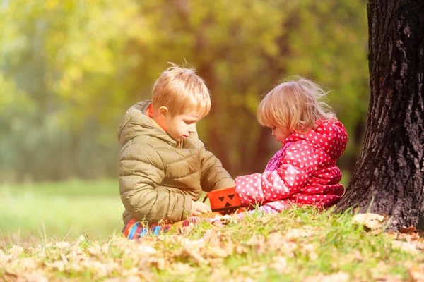 Lindo niño y niña jugando en otoño otoño — Foto de Stock