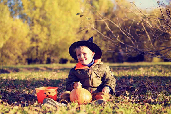 Anak kecil dengan kostum halloween di taman musim gugur — Stok Foto