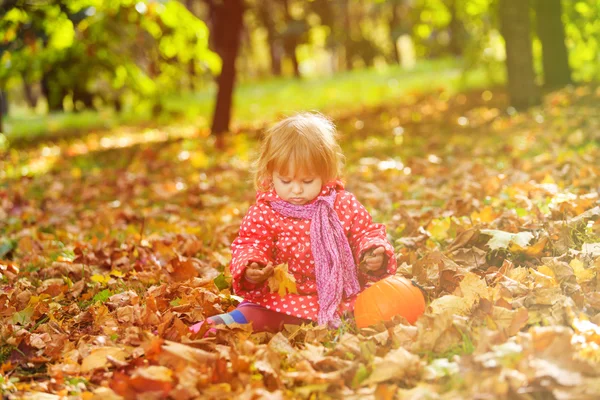 Gadis kecil yang lucu senang bermain dengan daun musim gugur — Stok Foto