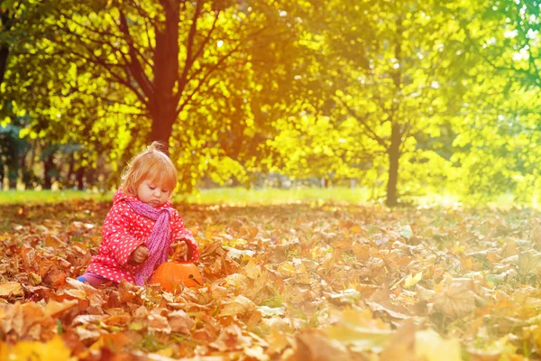 Cute happy little girl playing with autumn leaves — Stock Photo, Image