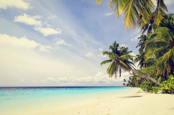 Tropical sand beach against blue sky Stock Image
