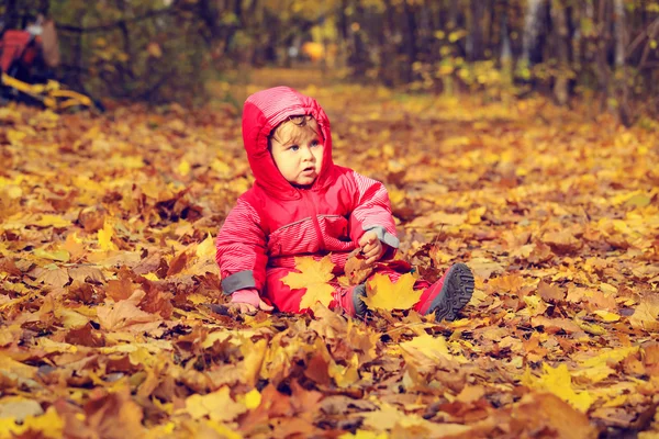 Happy cute gadis kecil di daun musim gugur — Stok Foto