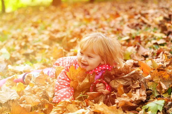 Cute little girl playing with autumn fall — Stock Photo, Image