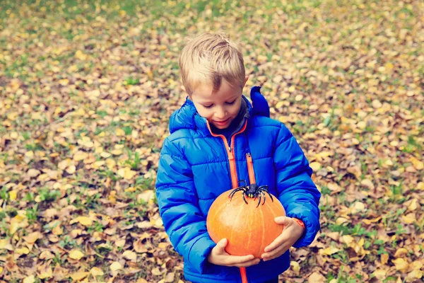 Anak memegang labu pada daun musim gugur — Stok Foto