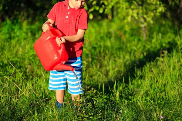 Niño regando plantas en el jardín — Foto de Stock