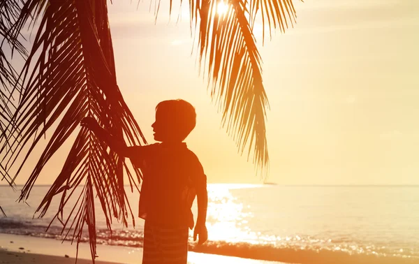Silhouette di bambino sulla spiaggia con palma — Foto Stock