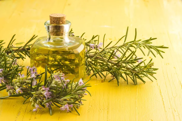 Rosemary and essential oil bottle — Stock Photo, Image