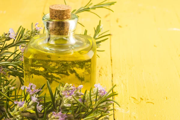 Rosemary essential oil bottle and plant — Stock Photo, Image