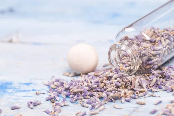 Lavender seeds background — Stock Photo, Image