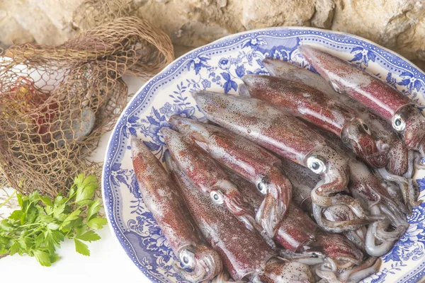 Fresh cuttlefish rustic background — Stock Photo, Image