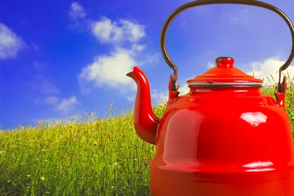 Old teapot, red kettle for boiling water and field of flowers with blue sky, herbal teas concept.