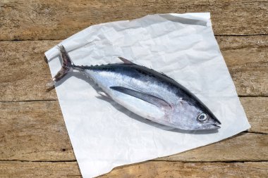 Bütün albacore ahşap arka plan