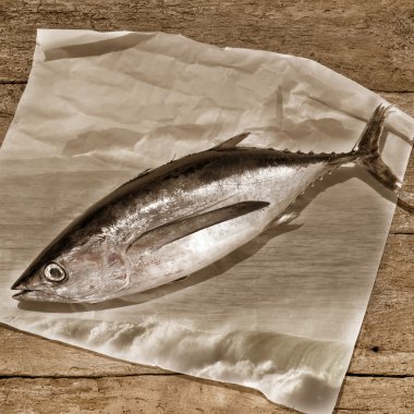 Albacore orkinos sepya tone arka plan