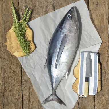 Albacore orkinos balık