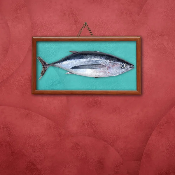 Albacore picture frame — Stock Photo, Image