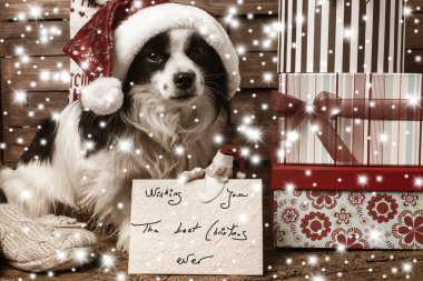 Evcil hayvan Noel dilek kartpostal