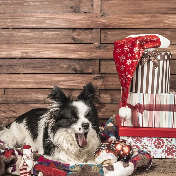 Ziewanie pies Pocztówka Christmas — Zdjęcie stockowe